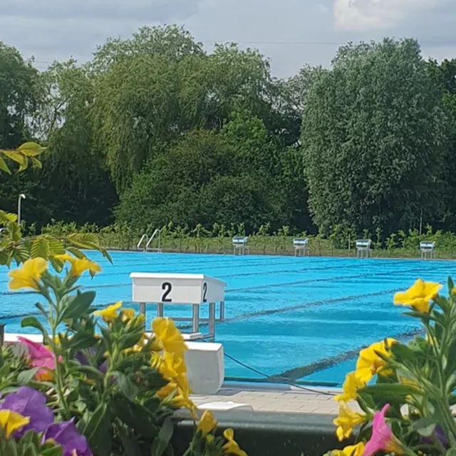 Wasserfläche vom Schwimmerbecken im Freibad Borssum mit Blumen im Vordergrund
