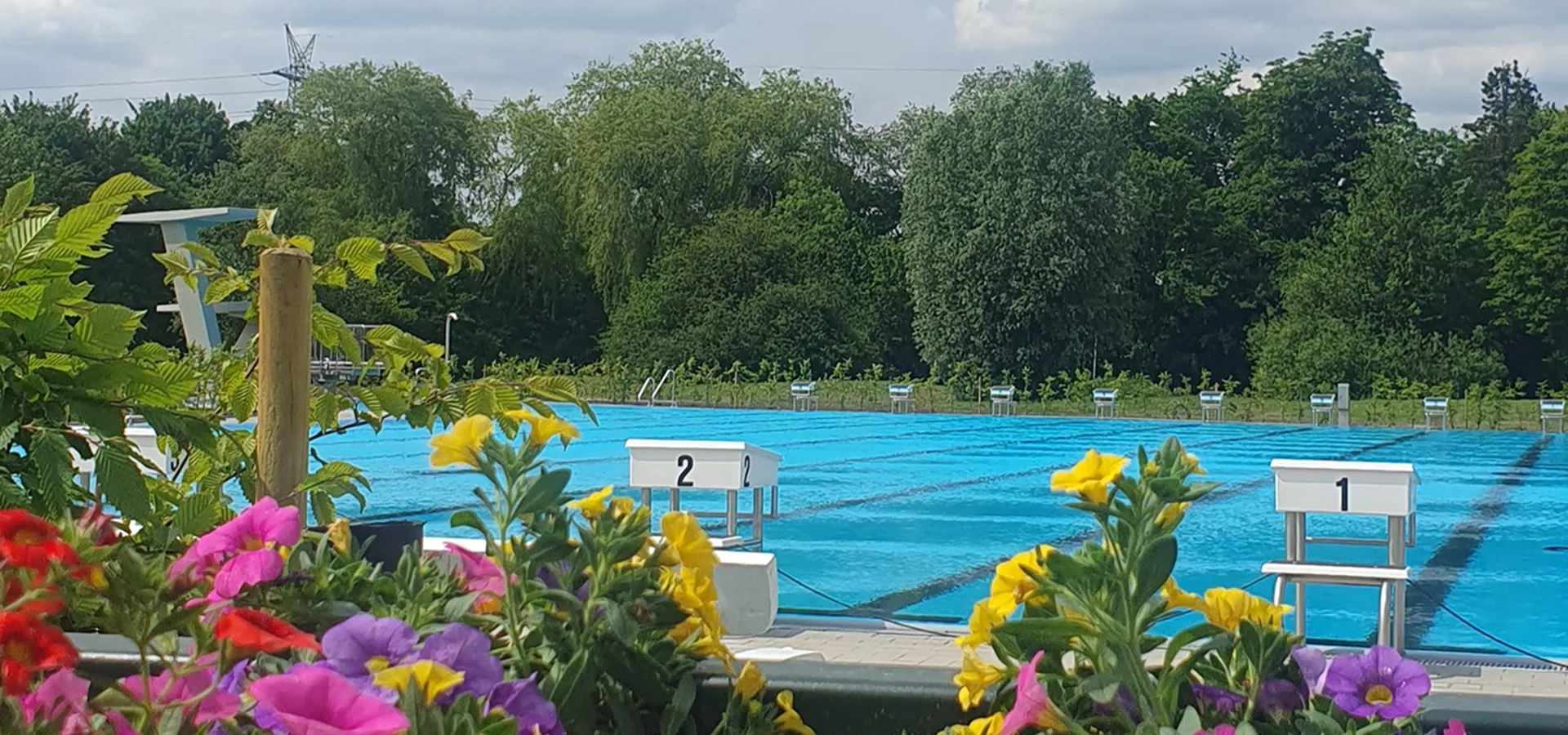 Wasserfläche vom Schwimmerbecken im Freibad Borssum mit Blumen im Vordergrund