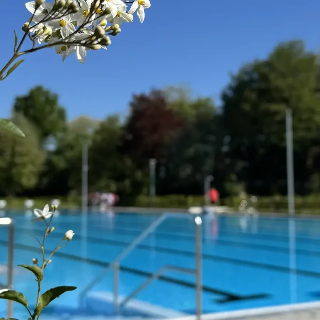 Wasserfläche vom Schwimmerbecken im Freibad Borssum mit Blumen im Vordergrund